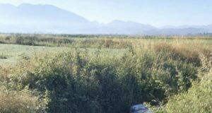 Makina përfundon në kanal,dërgohet në spital 16 vjecari