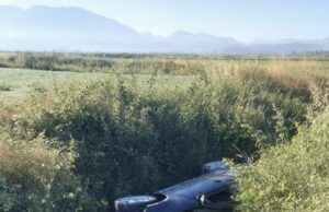 Makina përfundon në kanal,dërgohet në spital 16 vjecari