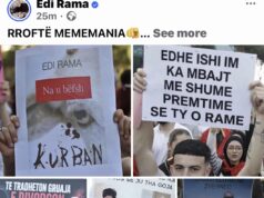 Rama publikon pankarta nga protestat kundër projektit në Zvërnec: “Rroftë mememania”