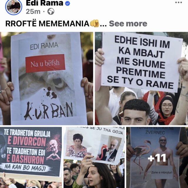Rama publikon pankarta nga protestat kundër projektit në Zvërnec: “Rroftë mememania”