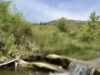 Qeveria shpall zonat me zhvillim parësor në Patos ,Devoll, Kolonjë, Malësi të Madhe