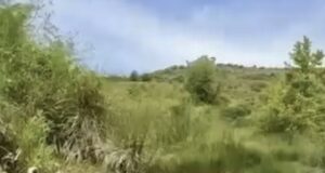 Qeveria shpall zonat me zhvillim parësor në Patos ,Devoll, Kolonjë, Malësi të Madhe