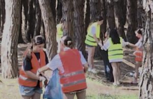 Vijon ndotja ne pyllin Seman ,të huajt japin shembullin e tyre për mbajtjen pastër te mjedisit