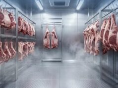 Fieri “kryeqyteti” i mishit në Shqipëri, kryeson prodhimin kombëtar