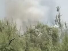 Zjarre në periferi të Vlorës, flakët rrezikojnë banesat