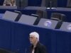 Eurodeputetja gjermane Jutta Paulus i bashkohet protestës sot në Tiranë