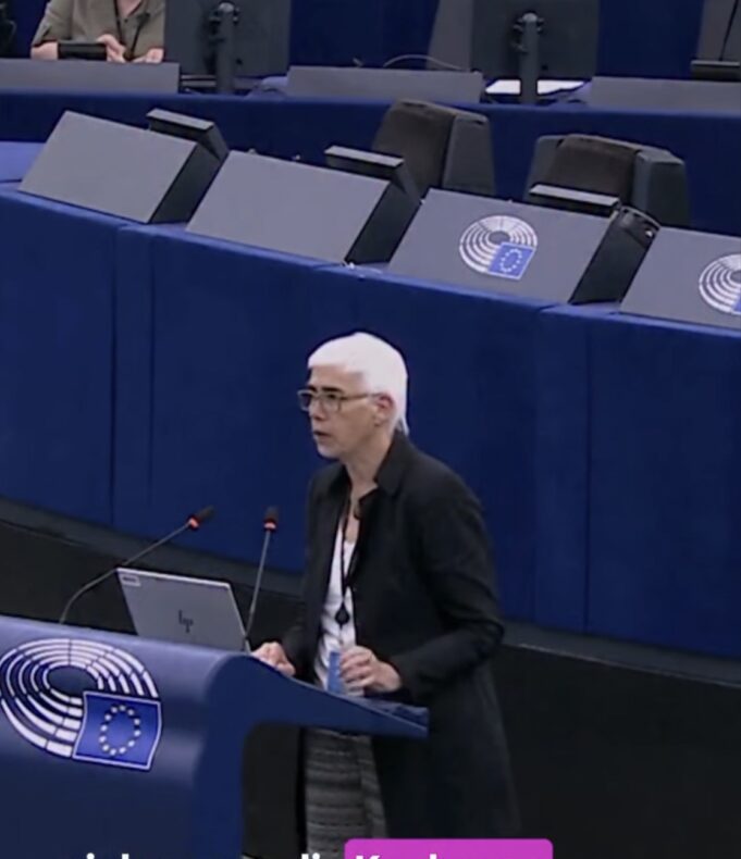 Eurodeputetja gjermane Jutta Paulus i bashkohet protestës sot në Tiranë