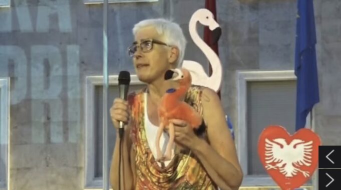 Eurodeputetja gjermane Paulus: Zëri i protestës do shkojë në Bruksel!