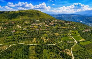 Qeveria shpall zona me përparësi për ekonominë malore në Mallakastër