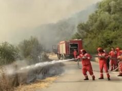 IGJEO: Sot e nesër pritet nivel rreziku i lartë për zjarre në disa qarqe
