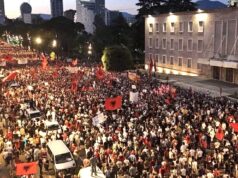Der Spiegel: Protestat në Shqipëri nisën për flamingot, tani kërkohet largimi i Ramës