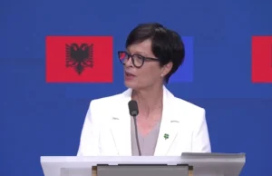 Komisionerja Kos: Shfuqizoni ligjet e Investimeve Strategjike dhe Zonat e Mbrojtura, protestat pjesë e proceseve demokratike