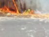 Zjarr masiv në Pyllin e Sodës në Vlorë, tymi mbulon një pjesë të qytetit