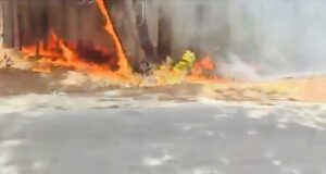 Zjarr masiv në Pyllin e Sodës në Vlorë, tymi mbulon një pjesë të qytetit