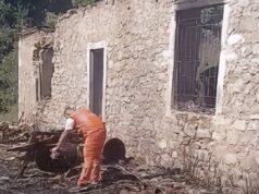 Flakët shuan jetën e një nëne të re dhe dy fëmijëve, familja ishte kthyer së fundmi nga Gjermania
