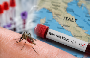 Itali/ 17 viktima nga Virusi i Nilit Perëndimor, 432 raste që nga fillimi i vitit