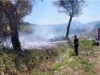 Zjarr pranë fshatit Vanaj në Libofshë, zjarrfikësit në terren për shuarjen e flakëve