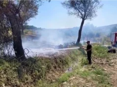 Zjarr pranë fshatit Vanaj në Libofshë, zjarrfikësit në terren për shuarjen e flakëve