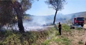 Zjarr pranë fshatit Vanaj në Libofshë, zjarrfikësit në terren për shuarjen e flakëve