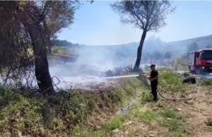 Zjarr pranë fshatit Vanaj në Libofshë, zjarrfikësit në terren për shuarjen e flakëve