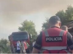 Zjarri në Mallakastër, Policia evakuon 15 familje dhe bagëtitë në Riban