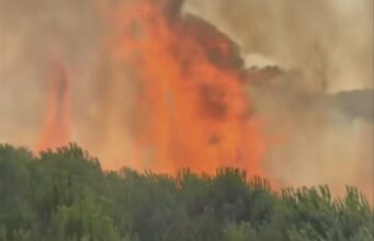 Zjarri në Rriban del jashtë kontrollit, flakët rrezikojnë masivin pyjor të Lofkëndit