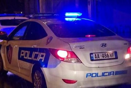69-vjeçari humb jetën në Roskovec, dyshohet arrest kardiak gjatë një konfl*kti mes djalit të tij dhe një shtetasi tjetër
