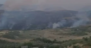 Zjarri në Koilaç të Mallakastrës, nis ndërhyrja nga ajri për shuarjen e flakëve