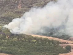 Zjarr masiv në Peshtan të Fierit, flakët përfshijnë masivin me pisha