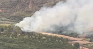 Zjarr masiv në Peshtan të Fierit, flakët përfshijnë masivin me pisha
