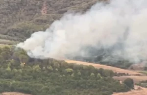 Zjarr masiv në Peshtan të Fierit, flakët përfshijnë masivin me pisha