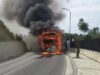 Autobusi me turistë merr flakë në Qafën e Kalasë në Berat