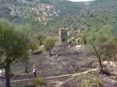 Zjarr në Çorrush të Mallakastrës, digjet 1 ha sipërfaqe dhe dëmtohen ullinj shekullorë