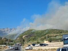 132 zjarrvënie në tre muaj – Lamallari kërkon hetime të thelluara dhe ndëshkim të autorëve