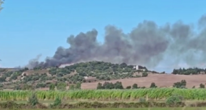 Zjarr masiv në Pojan, flakët dhe tymi i dendur alarmojnë zonën pranë Apolonisë