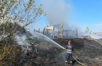 Zjarr në Patos, flakët rrezikuan banesat dhe bizneset në zonë