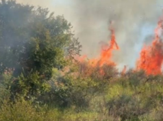 Zjarr pranë Parkut Arkeologjik të Apolonisë, rrezikohen banesat