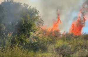 Zjarr pranë Parkut Arkeologjik të Apolonisë, rrezikohen banesat