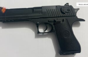Mallakastër/ I hyri në banesë, e kanosi dhe e goditi me pistoletë sportive , arrestohet 49-vjeçari