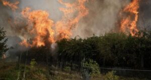 Mallakastër, 76-vjeçari humb jetën teksa tentonte të shuante zjarrin