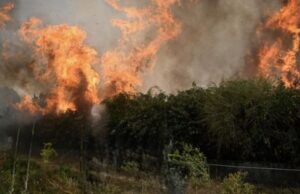 Mallakastër, 76-vjeçari humb jetën teksa tentonte të shuante zjarrin